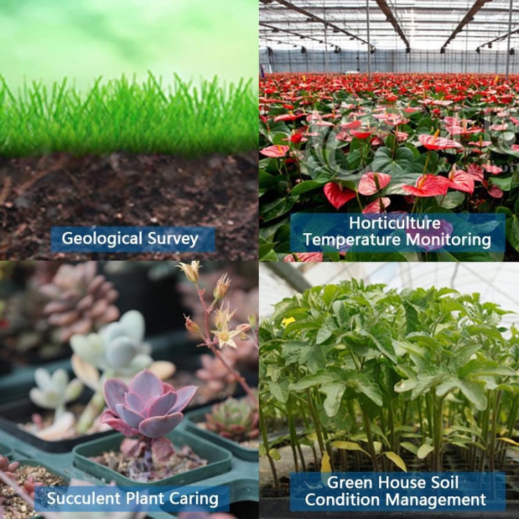 Sonda do wilgotności i temperatury gleby